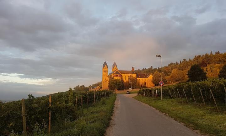 Weingut Gutsausschank Eibinger Zehnthof